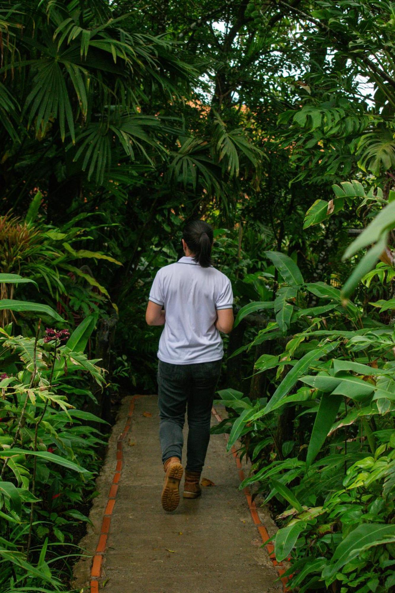 Hotel Claro De Luna Monteverde Exteriör bild