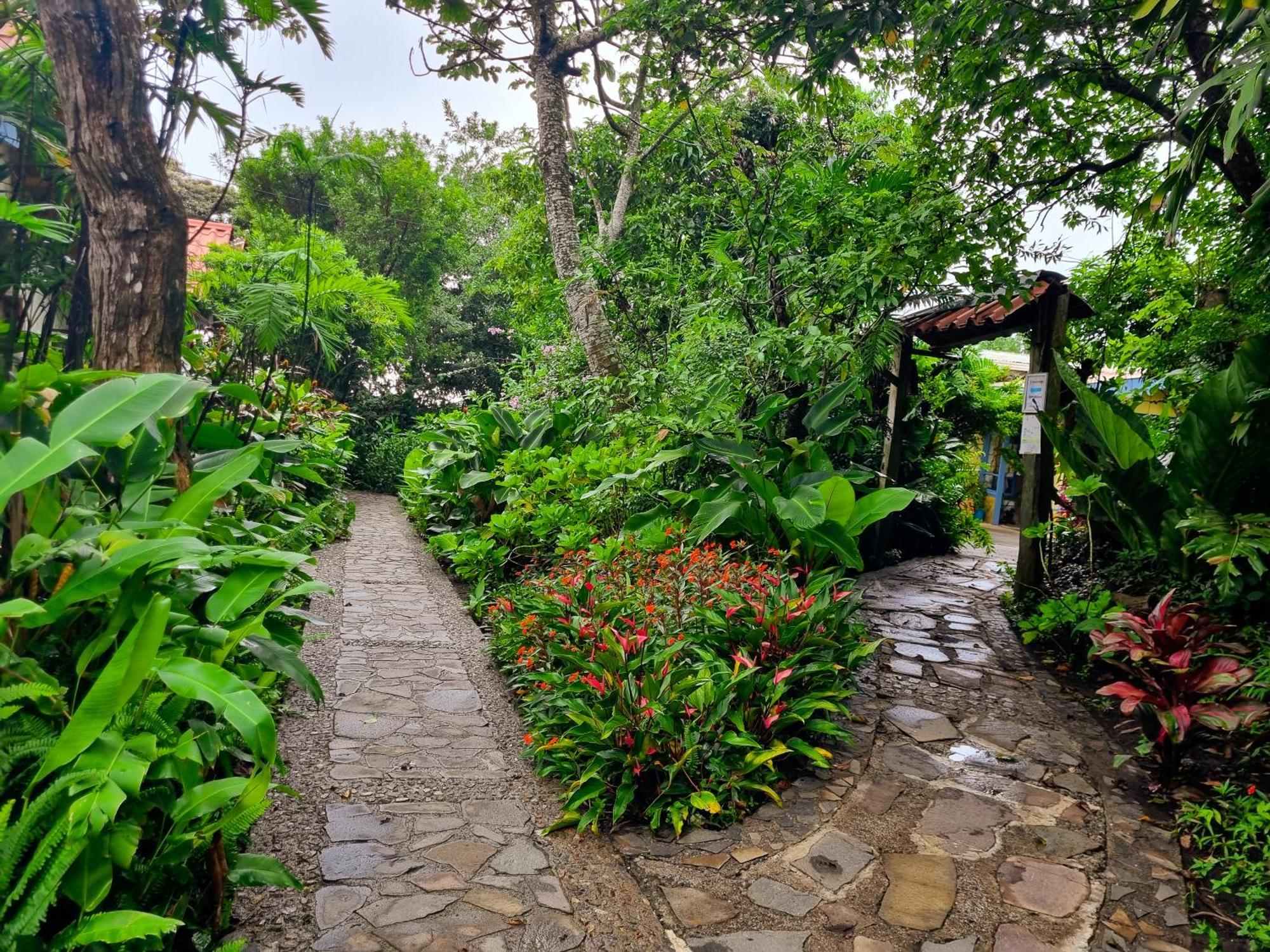 Hotel Claro De Luna Monteverde Exteriör bild