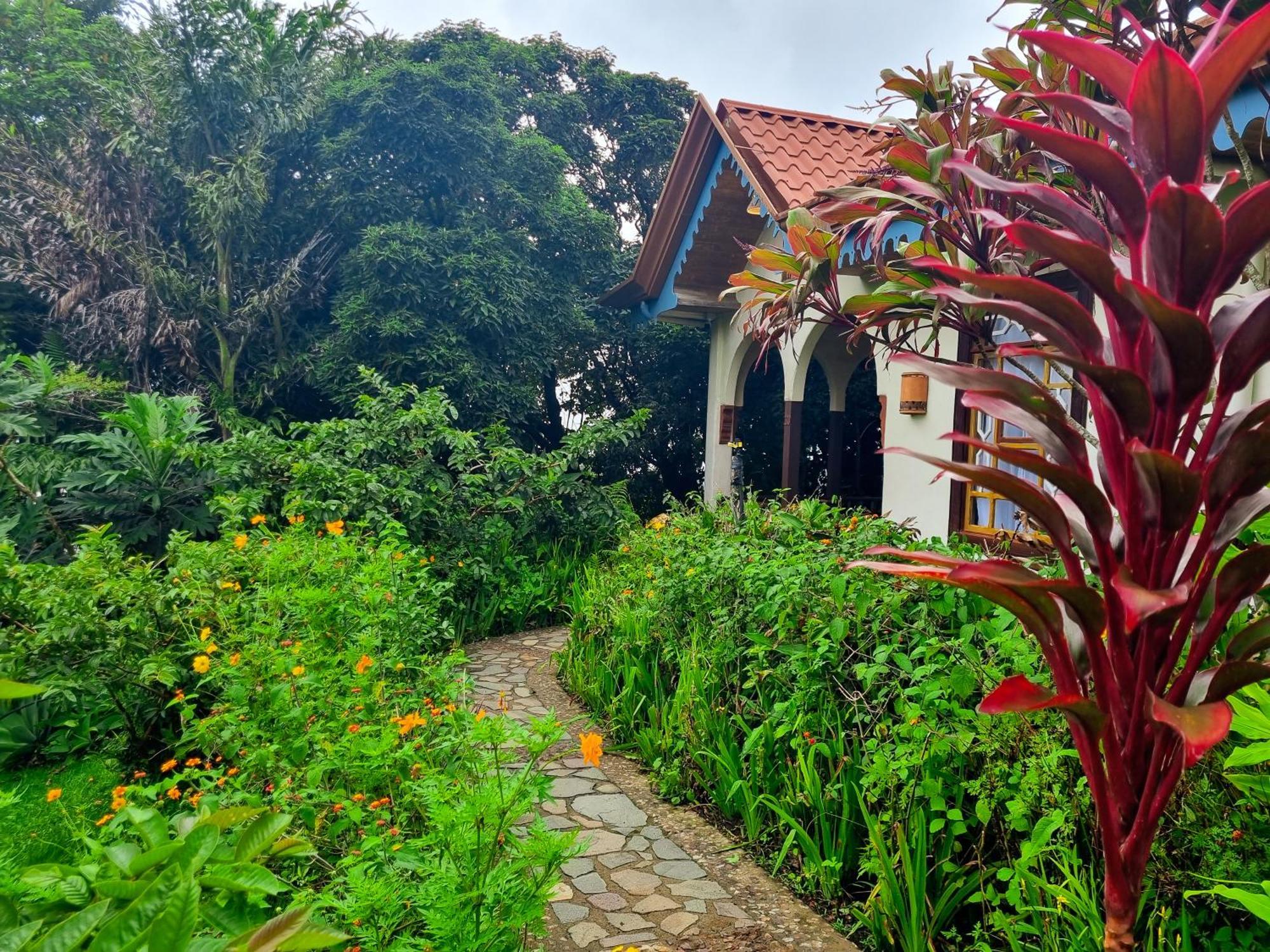 Hotel Claro De Luna Monteverde Exteriör bild